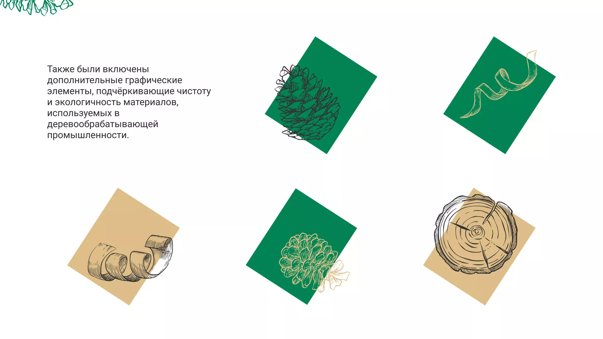 Разработка айдентики и сайта компании «Plastwood» в Первомайске