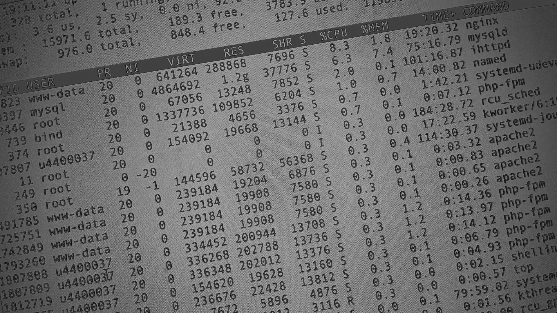 Настройка сервера в Первомайске