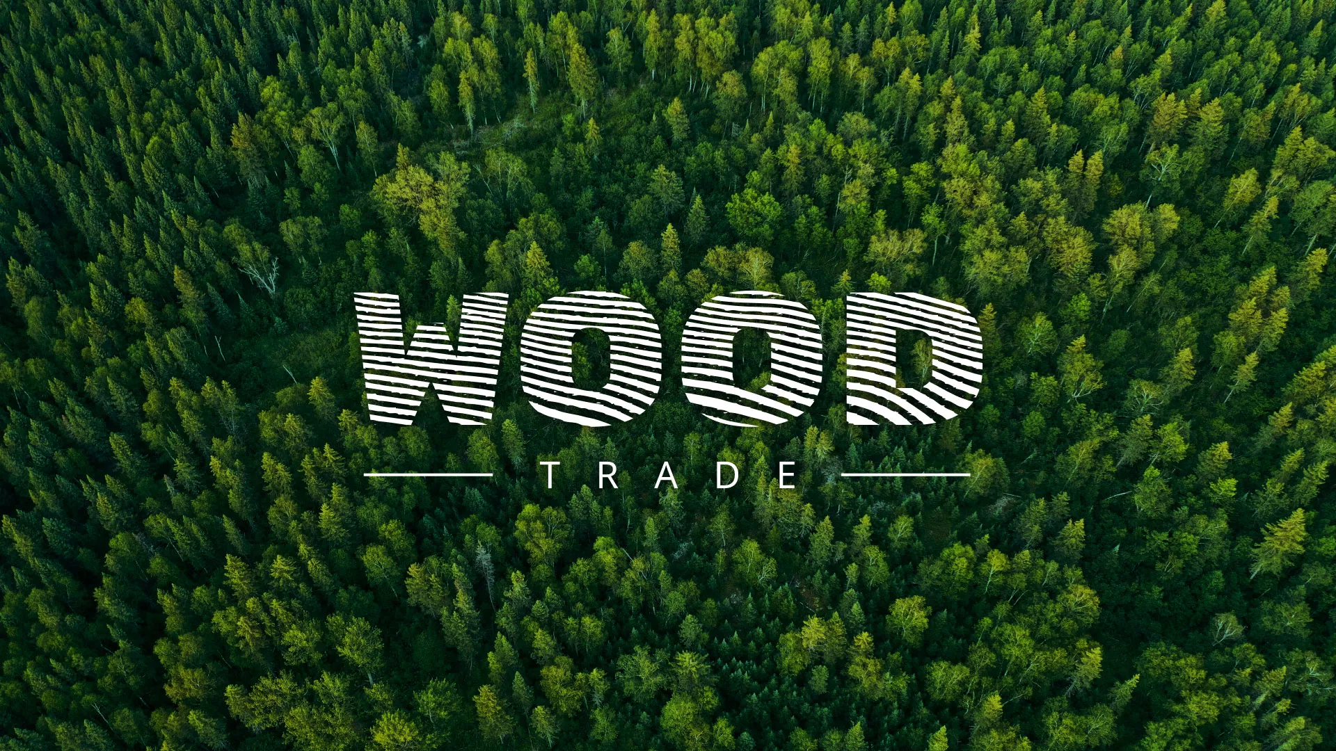 Разработка интернет-магазина компании «Wood Trade» в Первомайске