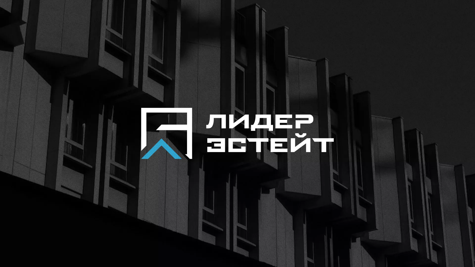 Разработка логотипа агентства недвижимости «Лидер Эстейт» в Первомайске